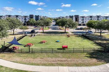 Dog park